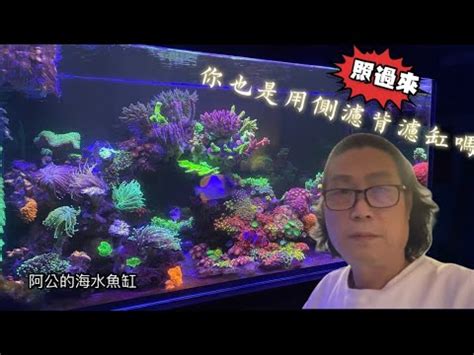 水口薇陽